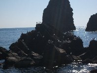 i Trezza-20110311 057